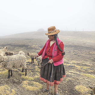 Woman herding sheep in field, wearing a hat and traditional clothing.