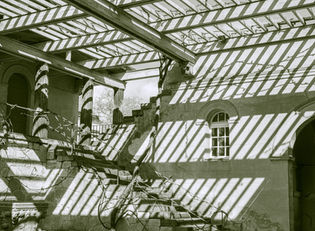 An abandoned building interior with shadow patterns created by sunlight filtering through vines and architectural features, featuring stairs and a window.