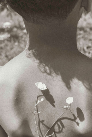 Monochrome photo of a child's back with delicate flowers casting soft shadows. The mood is serene and natural, with sunlight highlighting textures.