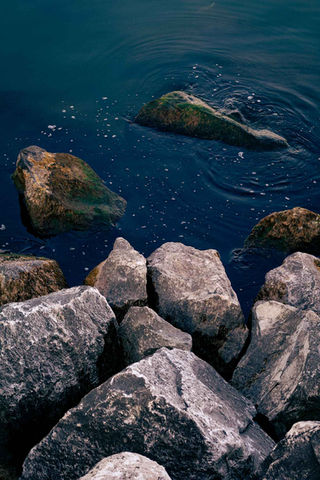 Rocky shoreline with dark water, partially submerged stones, and gentle ripples, creating a tranquil natural scene.