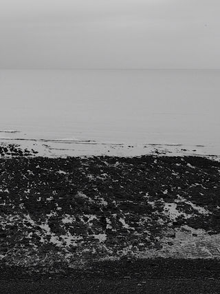 Black and white coastal scene with rocks and calm sea.