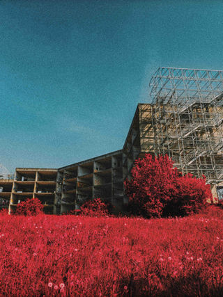 Building under construction with red grass and trees against a blue sky scenery.