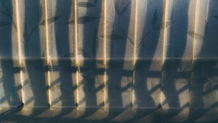 A close-up of a textured surface with vertical lines and leaf-like patterns, partially illuminated to create interesting shadows.