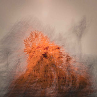 Abstract orange flower in blurred motion against a soft muted background.