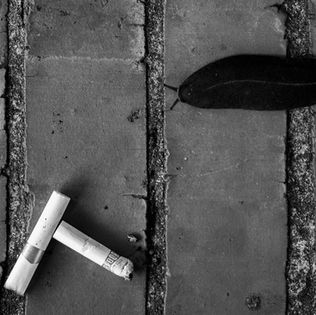 Black and white image of a dark slug on a textured sidewalk and two cigarette butts lying nearby, conveying a gritty urban mood.