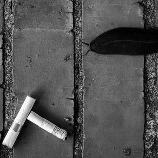 Black and white image of a dark slug on a textured sidewalk and two cigarette butts lying nearby, conveying a gritty urban mood.