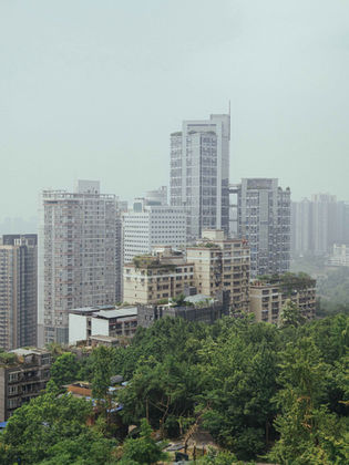 Cityscape of tall buildings and trees on a cloudy day.