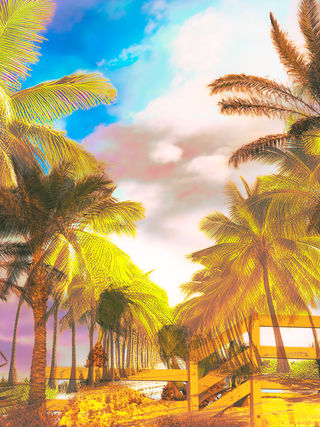 Palm trees line the road under a beautiful, colourful cloudy sky.