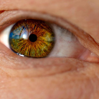 Close-up of a human eye with a vibrant green and brown iris, reflecting light. The intricate patterns and textures create a vivid, striking effect.