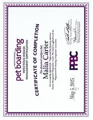 Infectious Disease Certificate