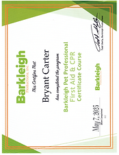First Aid and CPR Certificate