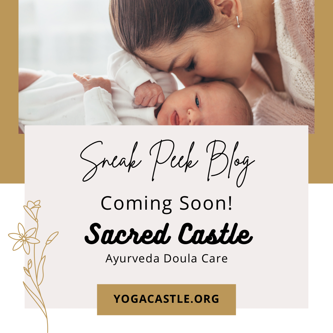 Members first to know! Sneak Peek 👀 content media