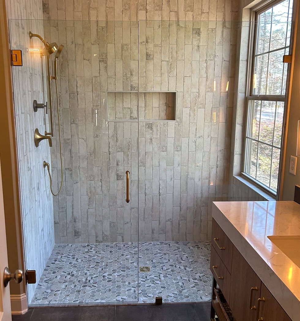 Frameless Door & Panel