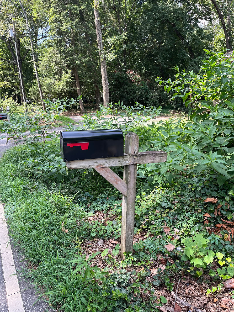 Mailbox Replacement