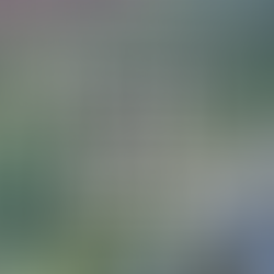 RACE #5: CAR CRASH (Dog Park)