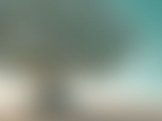 Meet Our Founder: Champion for Children's Well-being