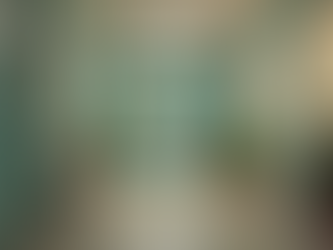 Finding the Best Veterinarian Near You