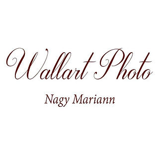 Szerző képe: Nagy Mariann Wallart fotó