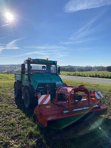 16A178E8-C8F4-4008-9AC7-7F41F19E643C.hei