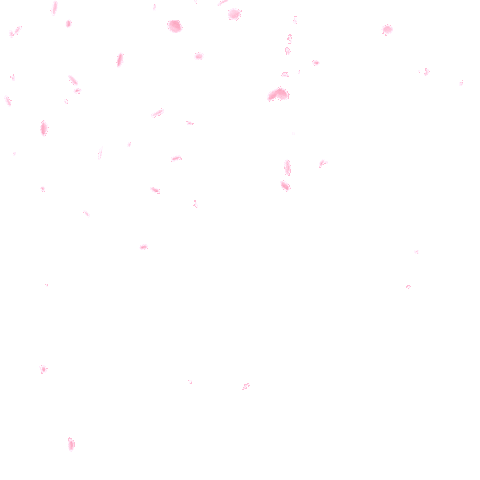 2yqT.gif
