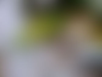 What Really Drives Pond Construction Costs in New York (It’s Not Just Size)