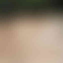 Inground pool redesign project - during