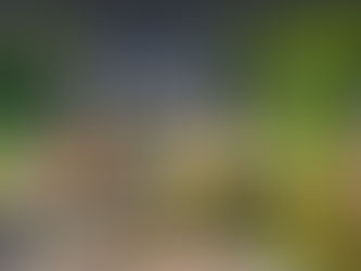 small pond in New York