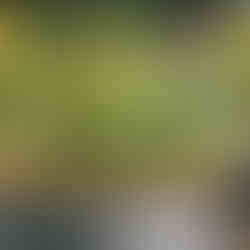 Inground pool redesign project - after