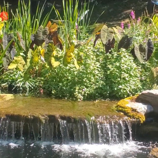 Inground pool redesign project - after