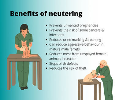 Benefits of neutering.png
