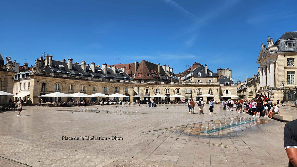 Place de la Libération - Dijon