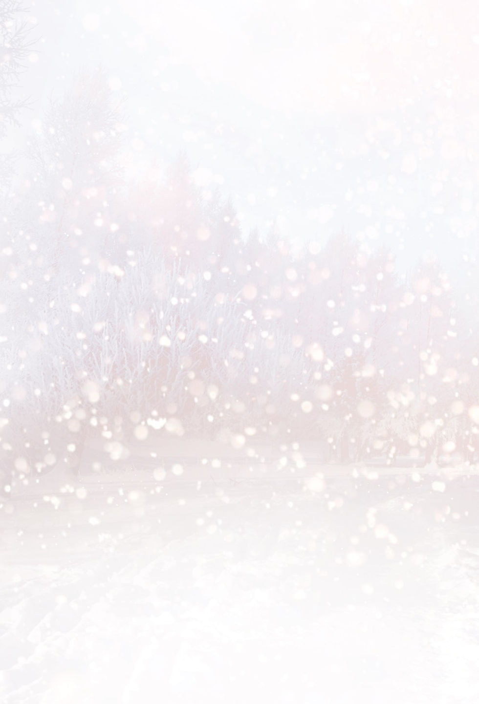 The Christmas bg-min.jpg