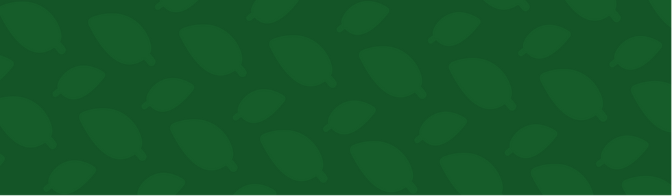 Fresh Market News Letter (3).png
