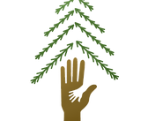 EvergreenCaregiverSupportLogo Transparent.png