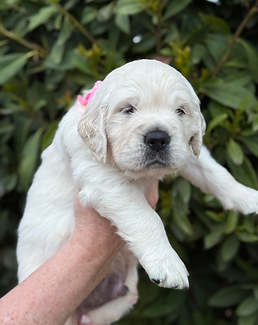 Screenshot 2026-01-10 at 9.53.47 AM.png