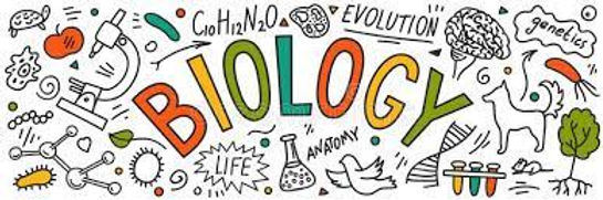 AP Biology Course "Natural" Selection Guide