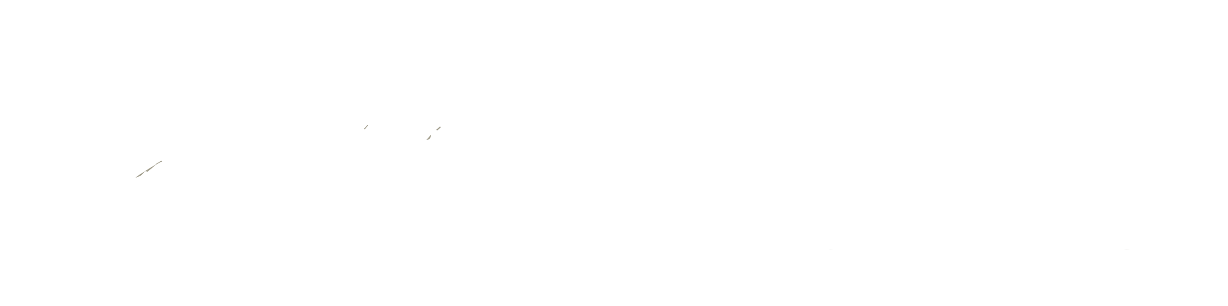 camaa art logo