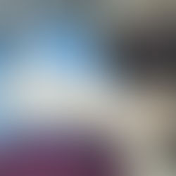 Writing Journal: My Editor and Her Assistant