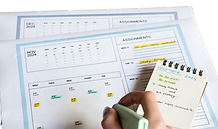 Website image5.png