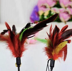 Jeu à plumes