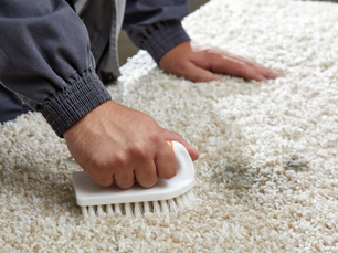 The Role of Carpet Cleaning in Reducing Mold and Mildew Risks in Cold, Humid Minnesota Climates