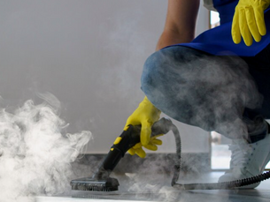 How Steam Cleaning Helps Remove Pet Odors and Allergens in Hermantown Households