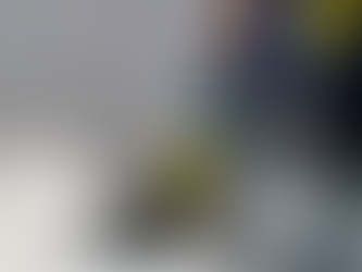 How Steam Cleaning Helps Remove Pet Odors and Allergens in Hermantown Households