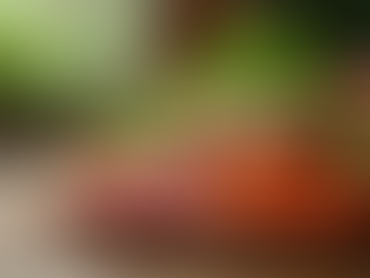 Unveiling the Truth: Plant-Based Veggie Meat and Its Surprising Impact on Cancer Risk