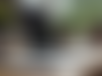 Understanding the Costs of Online Couples Therapy: A Clear Guide to Online Therapy Costs