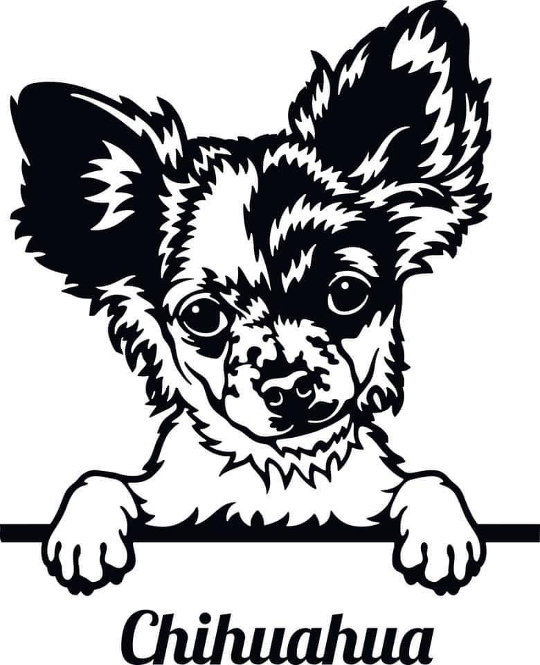 Chihuahua Sticker