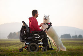 Guide to Assistance Animals