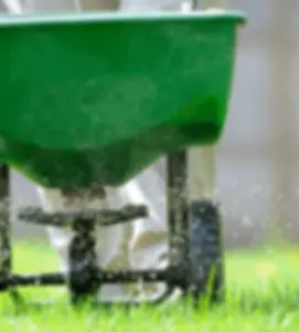 Fertilize-before-or-after-mowing-min.webp