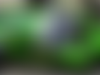 LAMBORGHINI 與 VS Racing携手重返GT世界賽