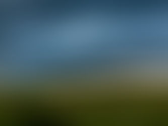 Photography - Mother Nature's Therapy